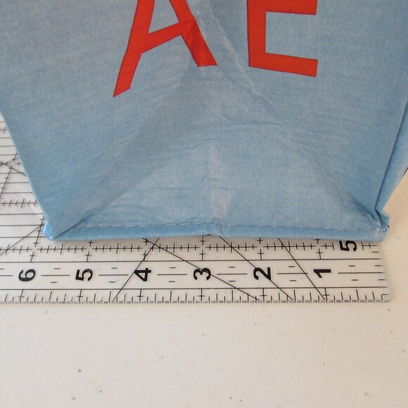 Peanuts/Snoopy 2024 AE Shopping Tote - Picture 13 of 13